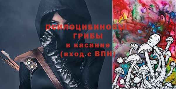PSILOCYBIN Белоозёрский