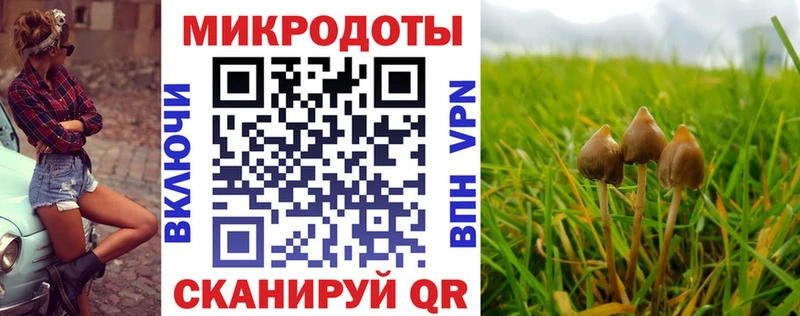 Галлюциногенные грибы Magic Shrooms  дарнет шоп  Старица 